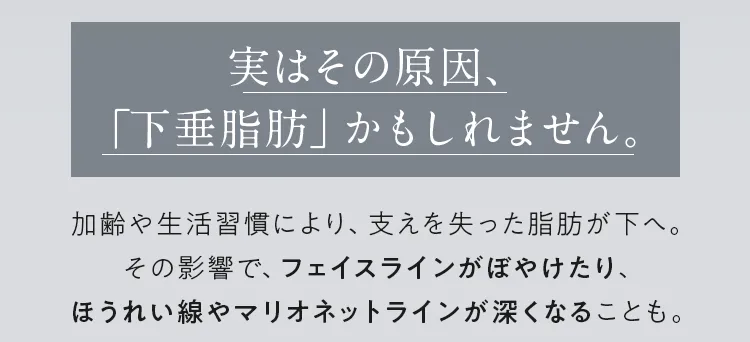 画像の説明文を入れてください